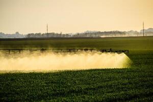 jatos do líquido fertilizante a partir de a trator pulverizador. foto