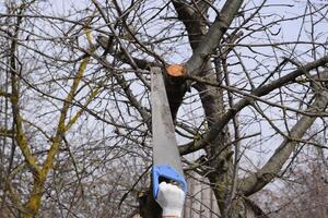 corte uma árvore ramo com uma mão jardim serra. foto