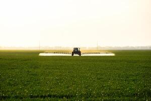 trator com a Socorro do uma pulverizador sprays líquido fertilizantes em jovem trigo dentro a campo. foto