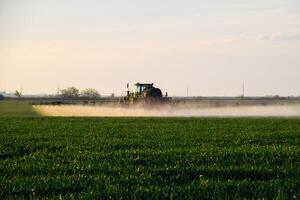 trator com a Socorro do uma pulverizador sprays líquido fertilizantes em jovem trigo dentro a campo. foto