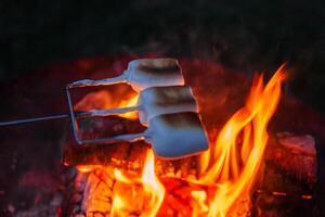 desfrutando torrado marshmallows sobre uma fogueira, tarde dentro copenhaga foto