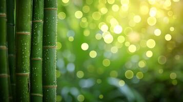 ai gerado bambu fechar acima fundo com bokeh luzes, ampla copyspace área, Fora do centro composição foto