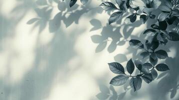 ai gerado borrado sombra a partir de folhas plantas em a branco muro. mínimo abstrato fundo foto