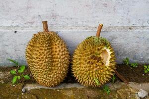 local indonésio durian é delicioso e contém vários vitaminas e minerais, fornecendo uma delicioso gosto experiência. foto