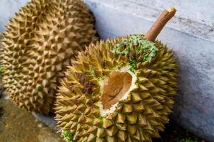local indonésio durian é delicioso e contém vários vitaminas e minerais, fornecendo uma delicioso gosto experiência. foto