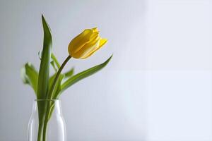 ai gerado uma solteiro amarelo tulipa dentro uma Claro vaso foto