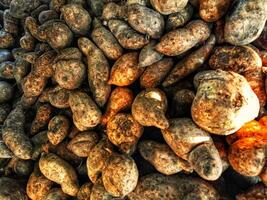 uma pilha do fresco doce batatas dentro uma tradicional mercado foto