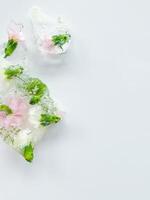 gelo cubos com flores dentro em branco fundo foto