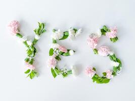 a palavra sim a partir de flores em uma branco fundo. foto