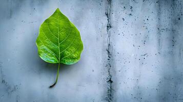 ai gerado uma verde folha em uma concreto parede foto