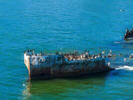 velho petroleiro navio destruir perto a costa do Califórnia, EUA. foto