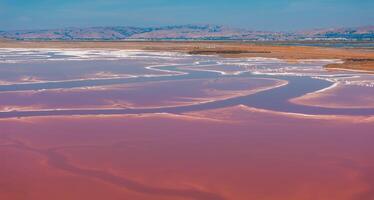 Rosa sal lagoas às Alviso marina município parque foto