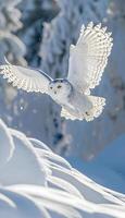 ai gerado uma branco coruja vôo sobre uma neve coberto floresta foto