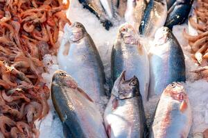 fresco peixe em a contador às a peixe mercado foto