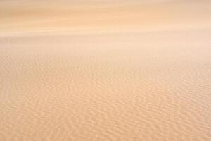 vento ondulações em a arenoso superfície dentro a deserto foto