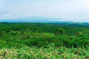 típica panorama do a sulista curilas, Visão do kunashir ilha a partir de a declive do Golovnin vulcão, Mendeleyev vulcão é visível dentro a distância dentro a neblina foto