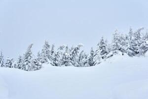 inverno montanha panorama - Nevado floresta foto