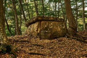 antigo megálito dolmen entre árvores dentro a outono Arvoredo foto