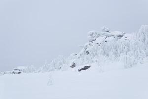 coberto de neve pedras e coberto de gelo árvores em uma montanha passar dentro inverno foto