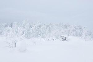 Nevado arborizado panorama com coberto de gelo gazebo foto