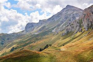 lindo montanha panorama com uma rochoso cume dentro a distância e a outono alpino Prado dentro a primeiro plano foto