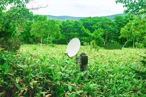 público satélite telefone para emergência comunicação entre bambu matagais dentro a região selvagem dentro a reserva foto