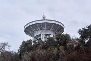 espelho do a astronômico rádio telescópio, destinada às a céu, é visível a partir de a árvores foto