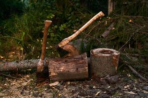 dois velho madeira cortar machados preso dentro uma árvore toco foto