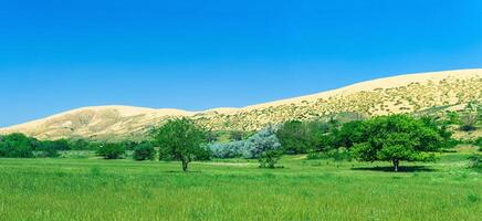 natural panorama com uma enorme areia duna sarykum dentro a fundo foto