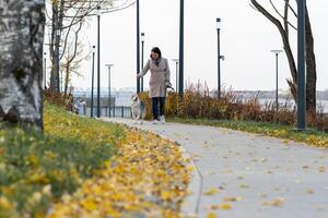 mulher com cachorro caminhando dentro a costeiro parque foto