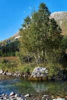 corrente piscina do uma pequeno montanha rio com uma lindo Rocha com bétulas em a banco contra uma fundo do montanhas foto