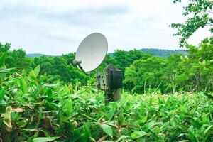 público satélite telefone para emergência comunicação entre bambu matagais dentro a região selvagem dentro a reserva foto