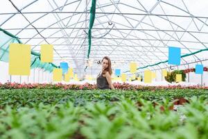 jovem mulher dentro uma vestir posando entre plantas dentro uma estufa foto