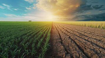 ai gerado clima mudança a partir de seca para verde crescimento foto