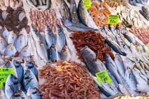 fresco peixe em a contador às a peixe mercado foto