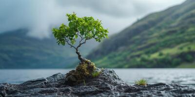 ai gerado a resiliência do natureza dentro a face do de Meio Ambiente desafios. a regenerativo poder do ecossistemas, enfatizando a importância do protegendo e restaurando nosso planeta foto