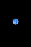 a azul lua dentro a noite céu. Super Lua, cheio lua. foto