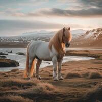 ai gerado icônico islandês panorama apresentando majestoso cavalo no meio deslumbrante cenário para social meios de comunicação postar Tamanho foto