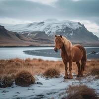 ai gerado icônico islandês panorama apresentando majestoso cavalo no meio deslumbrante cenário para social meios de comunicação postar Tamanho foto