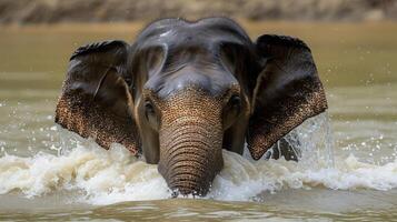 ai gerado masculino ásia elefante é desfrutando tomando banho. foto