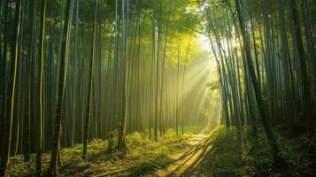 ai gerado bambu floresta dentro a manhã foto