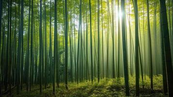 ai gerado bambu floresta dentro a manhã foto