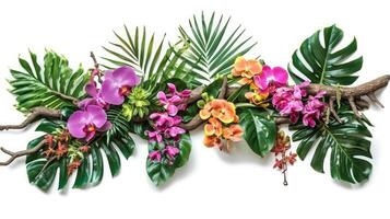 ai gerado tropical vibrações plantar arbusto floral arranjo com tropical folhas monstera e samambaia e vanda orquídeas tropical flor decoração em árvore ramo liana videira plantar isolado em branco fundo foto