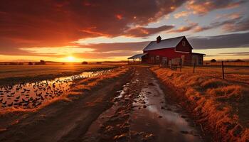 ai gerado tranquilo pôr do sol sobre rural fazenda, natureza beleza gerado de ai foto