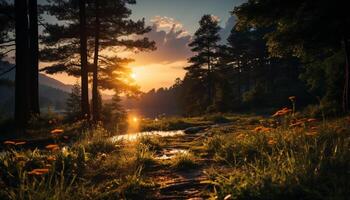 ai gerado pôr do sol sobre a floresta, natureza beleza dentro crepúsculo gerado de ai foto