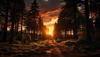 ai gerado pôr do sol sobre a floresta, natureza vibrante beleza gerado de ai foto