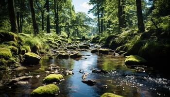 ai gerado tranquilo cena do uma verde floresta e fluindo água gerado de ai foto