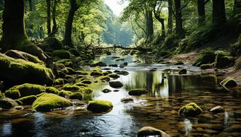 ai gerado tranquilo cena do uma verde floresta refletindo em água gerado de ai foto