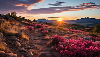 ai gerado tranquilo cena, pôr do sol tintas natureza beleza roxa gerado de ai foto