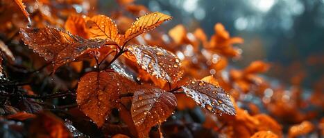 ai gerado pingos de chuva cintilar em rico Castanho folhas contra uma foco suave fundo foto